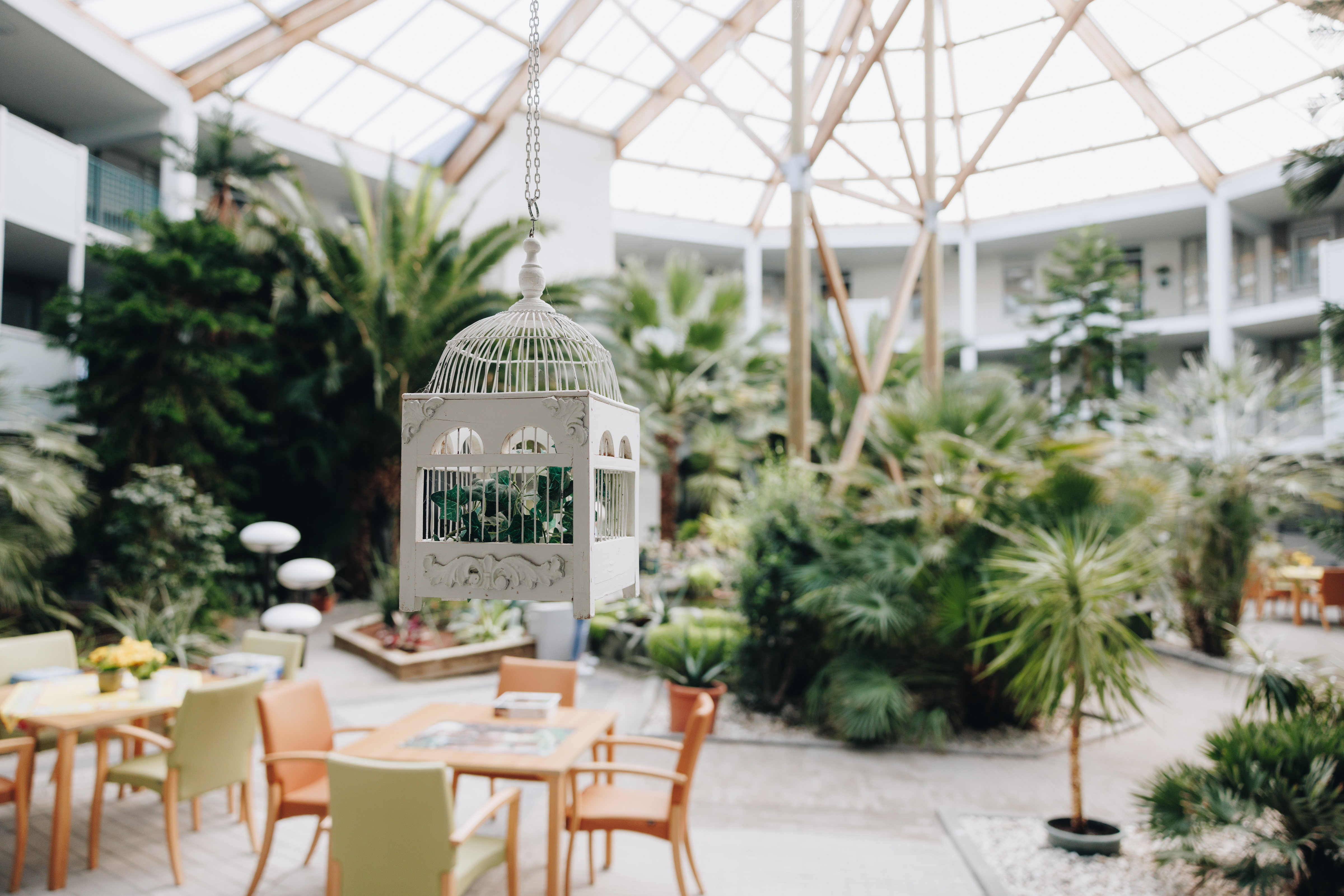 03 04 2023 Gouwestein Zorgpartners Closeup Binnentuin Planten Groen Puzzel Verhuur